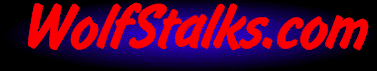 WolfStalks.Com ! Internet Solutions for Small Business